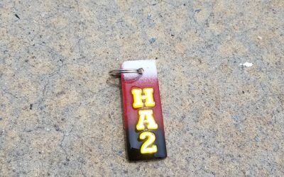 House Arrest 2 Key Chain