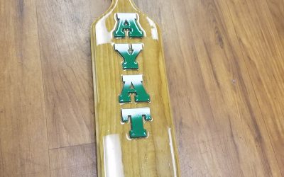 Ayat Turtle Paddle