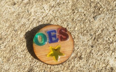 OES Wood Circle Pin