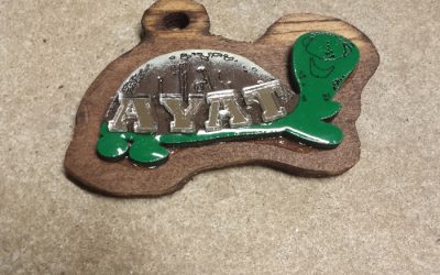 4in Are You A Turtle Tiki